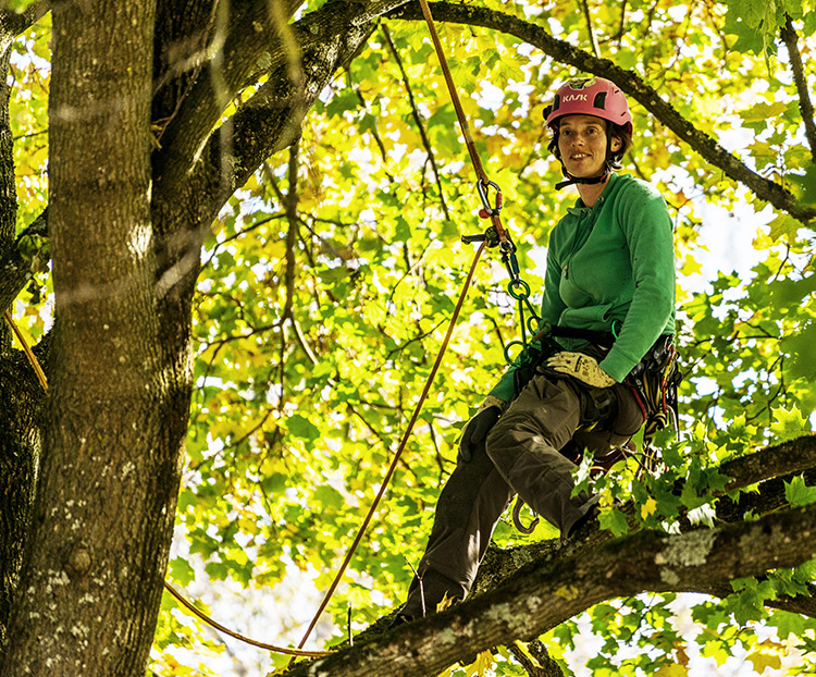 Sabrina Fridriscyk im Baum.